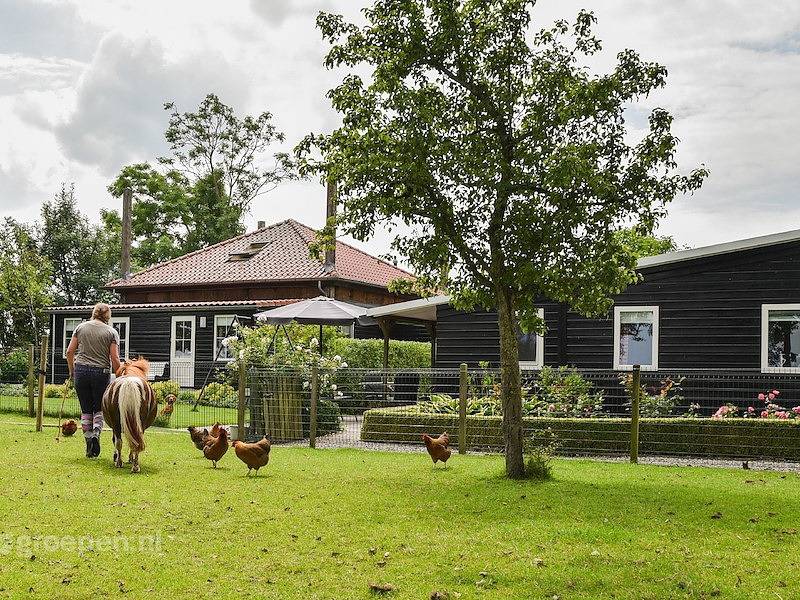 Gruppenunterkunft Staphorst in Staphorst, Nationalpark Weerribben-Wieden