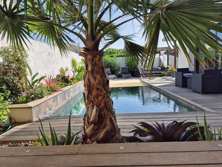 Chambre d’hôte pour 2 personnes, avec vue ainsi que jardin et piscine à Aigues-Mortes - 2