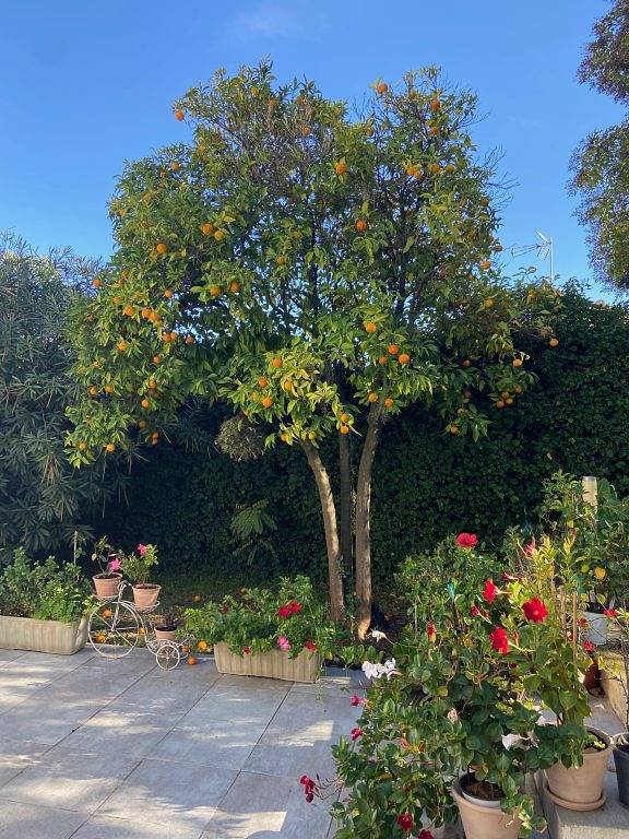Chambre d’hôte pour 2 personnes, avec jardin dans les Alpes maritimes - 4