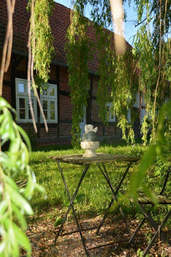 Ganze Wohnung, Two-Bedroom Apartment in Rodewald, Aller-Leine-Tal