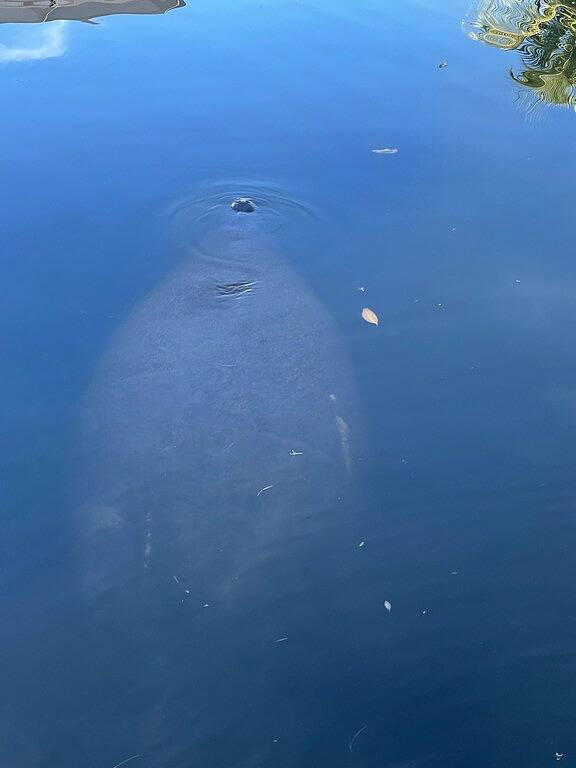 Vacation rental for 8 people, with terrace in Pine Island