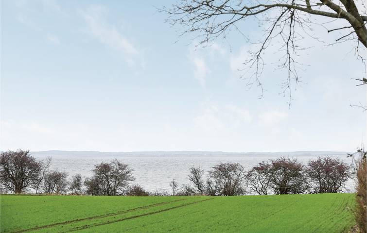 Ferienhaus für 6 Personen, mit Terrasse und Garten in Augustenburg - 4