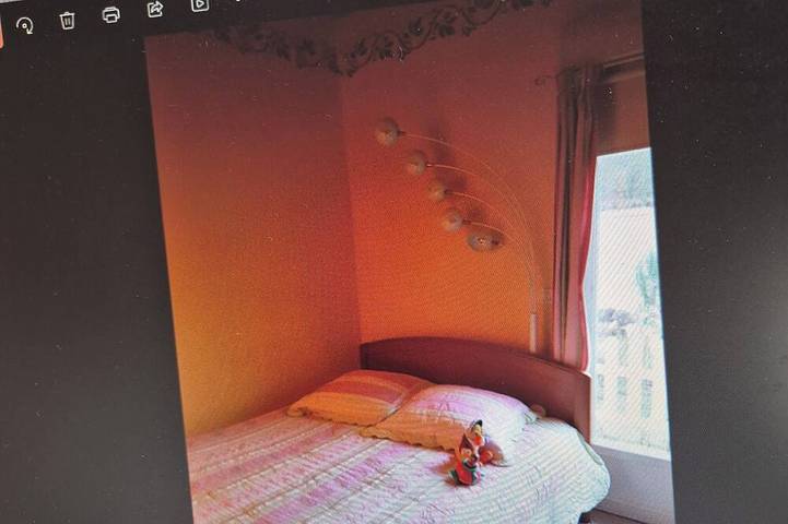 Location de vacances pour 8 personnes, animaux acceptés à Meusnes - 3