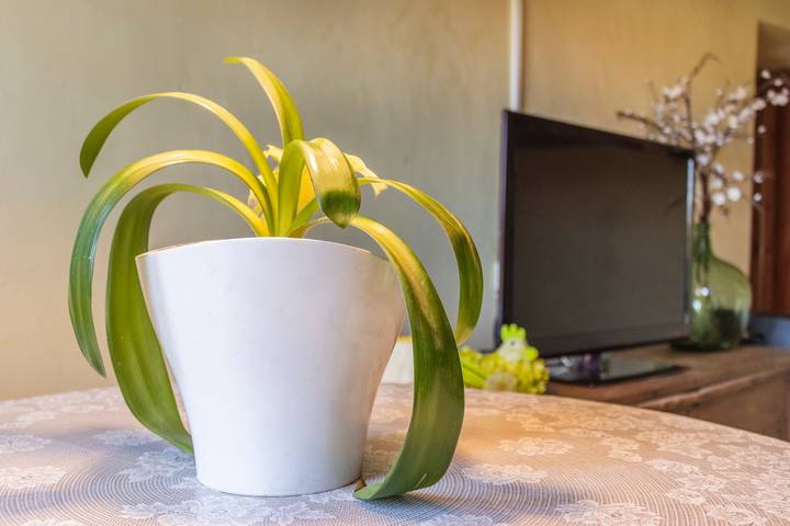 Location de vacances pour 7 personnes, avec Balcon dans Pyrénées catalanes - 4