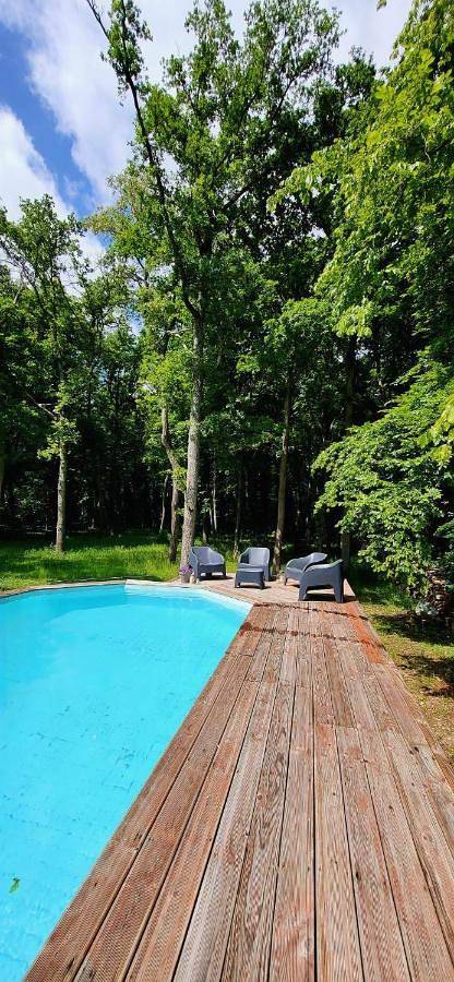 Location de vacances pour 13 personnes, avec jacuzzi ainsi que jardin et piscine à Gouvieux - 2