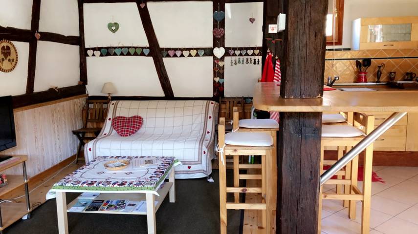 Appartement de vacances pour 2 personnes, avec terrasse dans le Haut-Rhin - 4