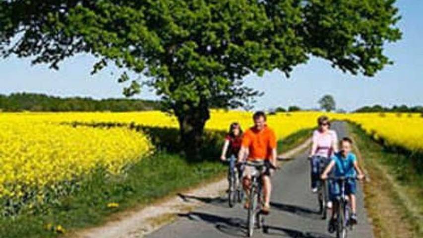 Ferienwohnung für 2 Personen, mit Garten in Neukalen - 3