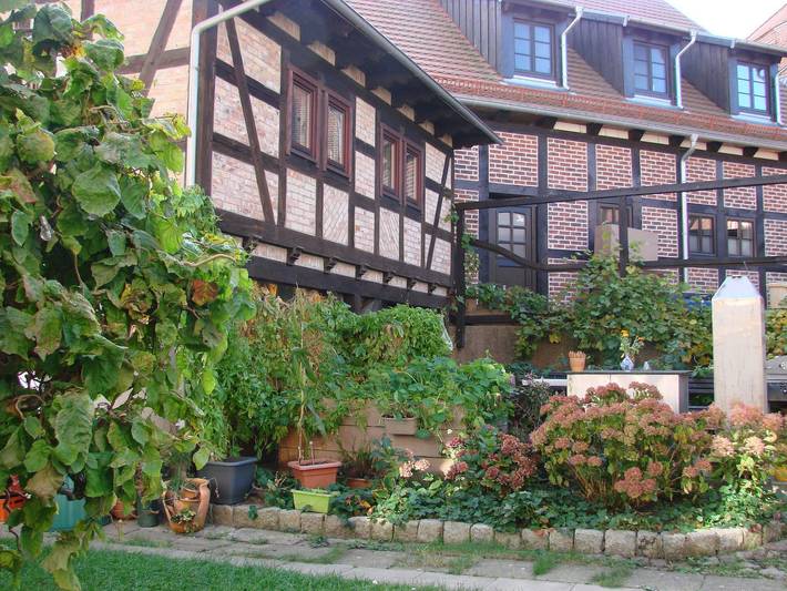 Ferienwohnung für 3 Personen, mit Terrasse und Garten in Wolgast - 2