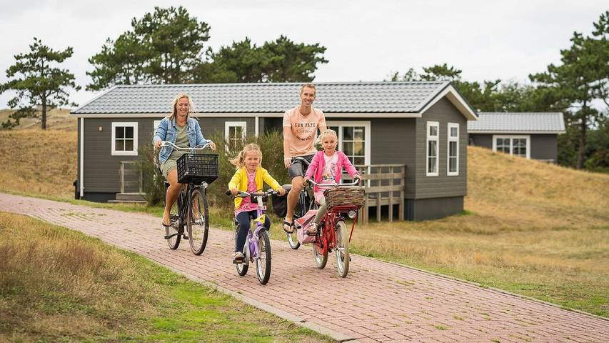Chalet für 4 Personen, mit Sauna und Terrasse auf Texel - 2