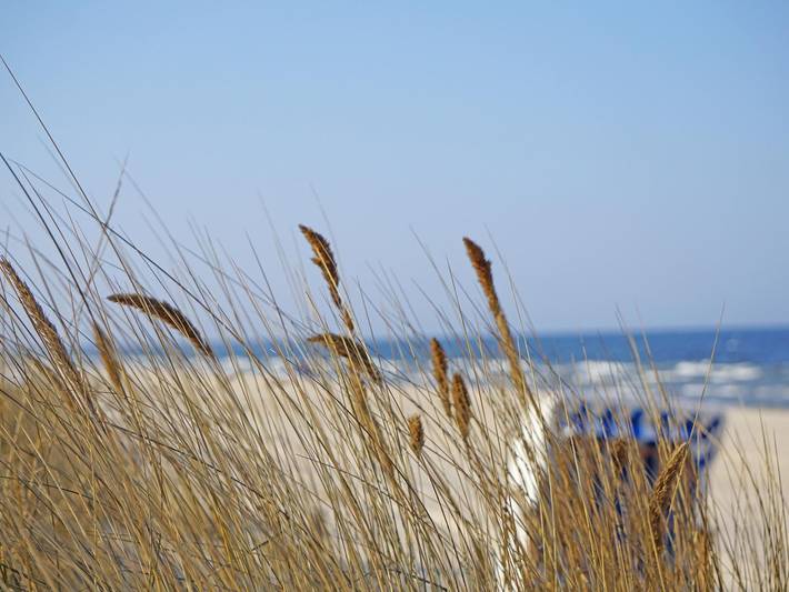 Ferienpark für 4 Personen, mit Garten und Balkon sowie Sauna in Heringsdorf - 4