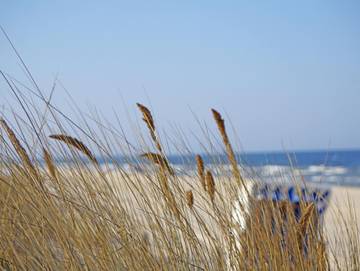 Ferienpark für 4 Personen in Heringsdorf, Usedom, Bild 3
