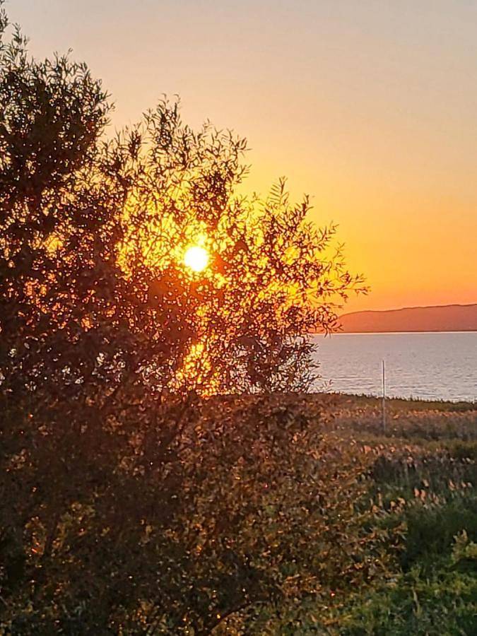 Ferienhaus für 12 Personen, mit Balkon und Terrasse sowie Garten und Pool in Balatonfenyves