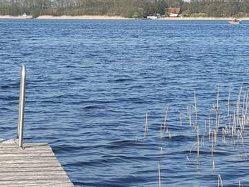 Bungalow für 2 Personen in Wesenberg, Mecklenburg-Vorpommern, Bild 4