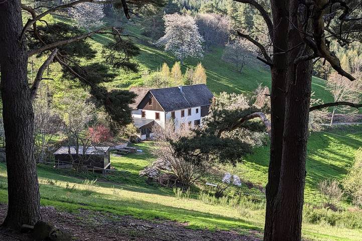 Appartement de vacances pour 6 personnes, avec jardin et sauna - 1