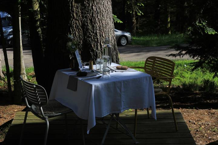 Hotel, mit Terrasse und Garten in Bühlertal - 3