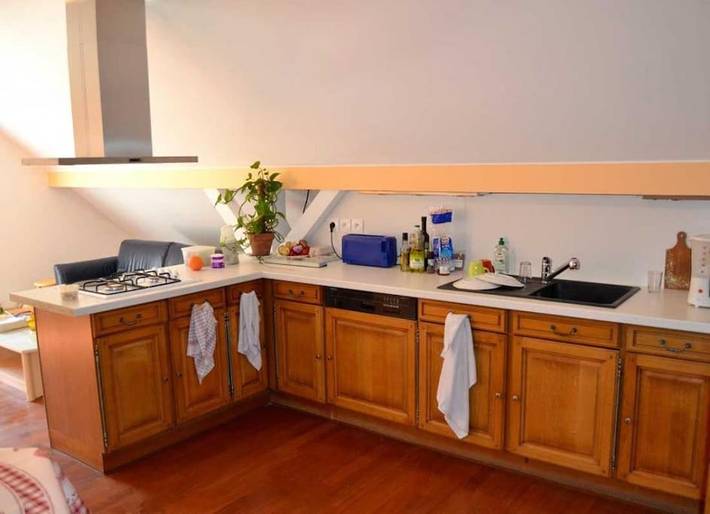 Gîte pour 8 personnes, avec vue et terrasse, animaux acceptés à Wangenbourg-Engenthal - 4