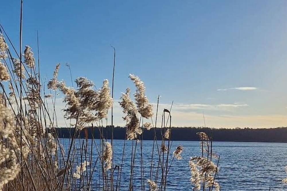 Ferienhaus direkt am See Uckermark in Templin, Barnimerland Region