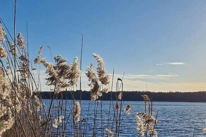 Ferienhaus für 8 Personen, mit Balkon und Garten in Templin
