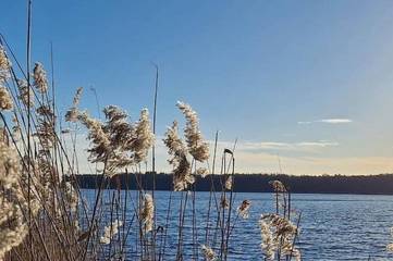 Ferienhaus für 8 Personen, mit Garten und Balkon in Templin