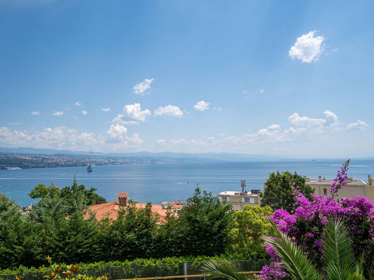 Salvia in Opatija Riviera