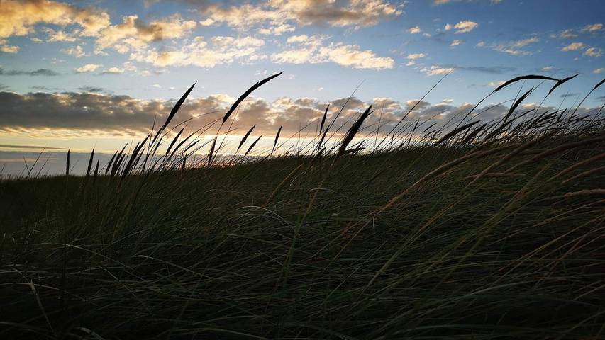 Ferienhaus für 7 Personen, mit Terrasse und Whirlpool sowie Sauna in Blavand - 2