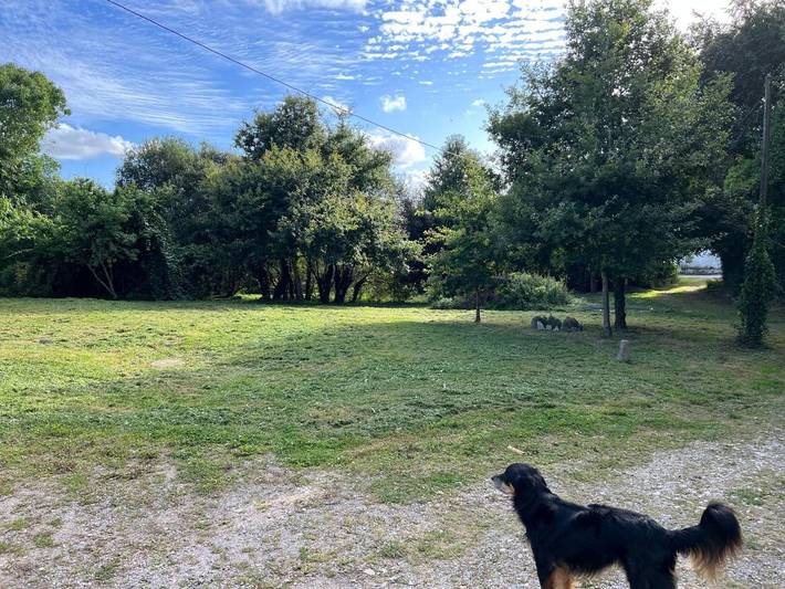 Location de vacances pour 4 personnes, avec vue et jardin, animaux acceptés dans Guerlédan - 3