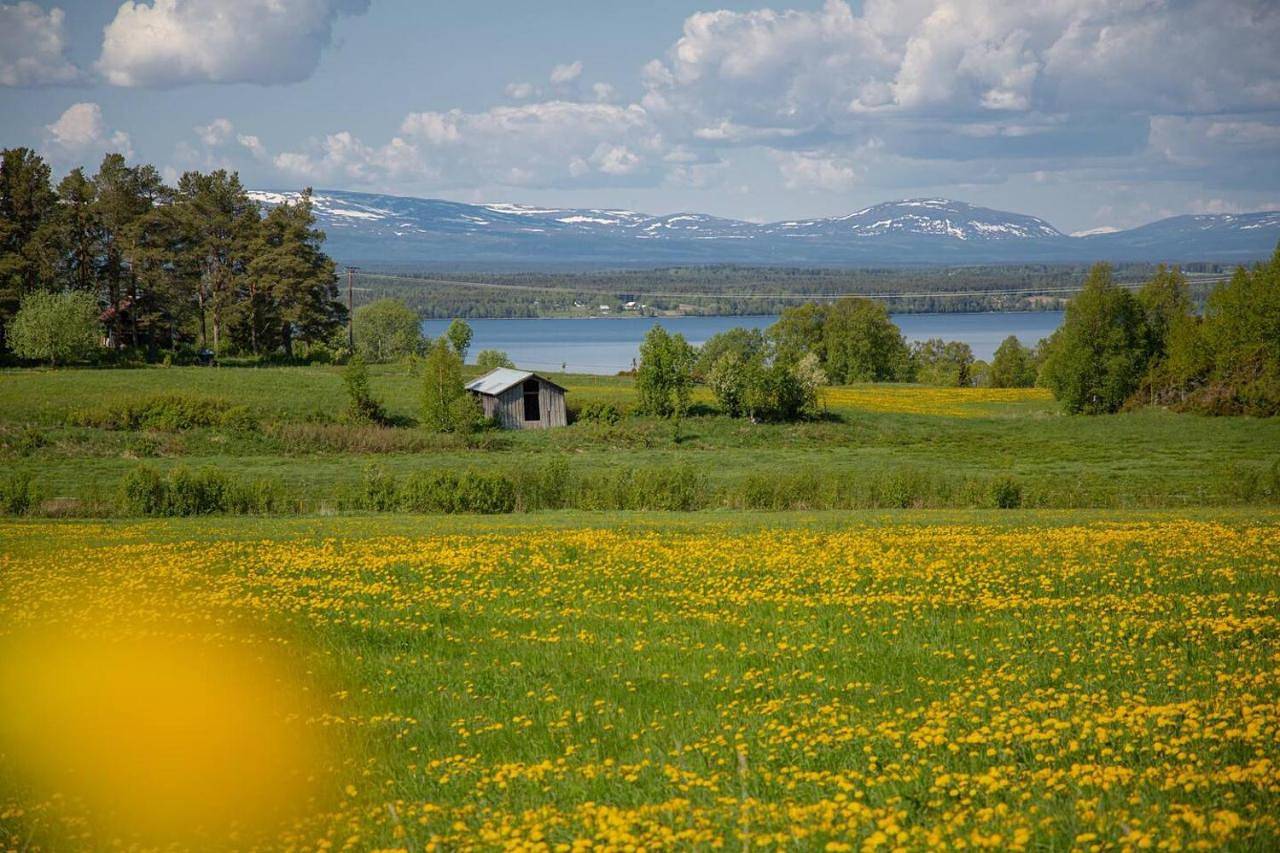 Hel lägenhet, Cozy mountain view apartment in Östersund, Jämtland