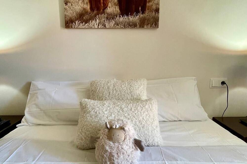 Entire apartment, Cal Querol 2 - penthouse center in Puigcerdà, Catalan Pyrenees