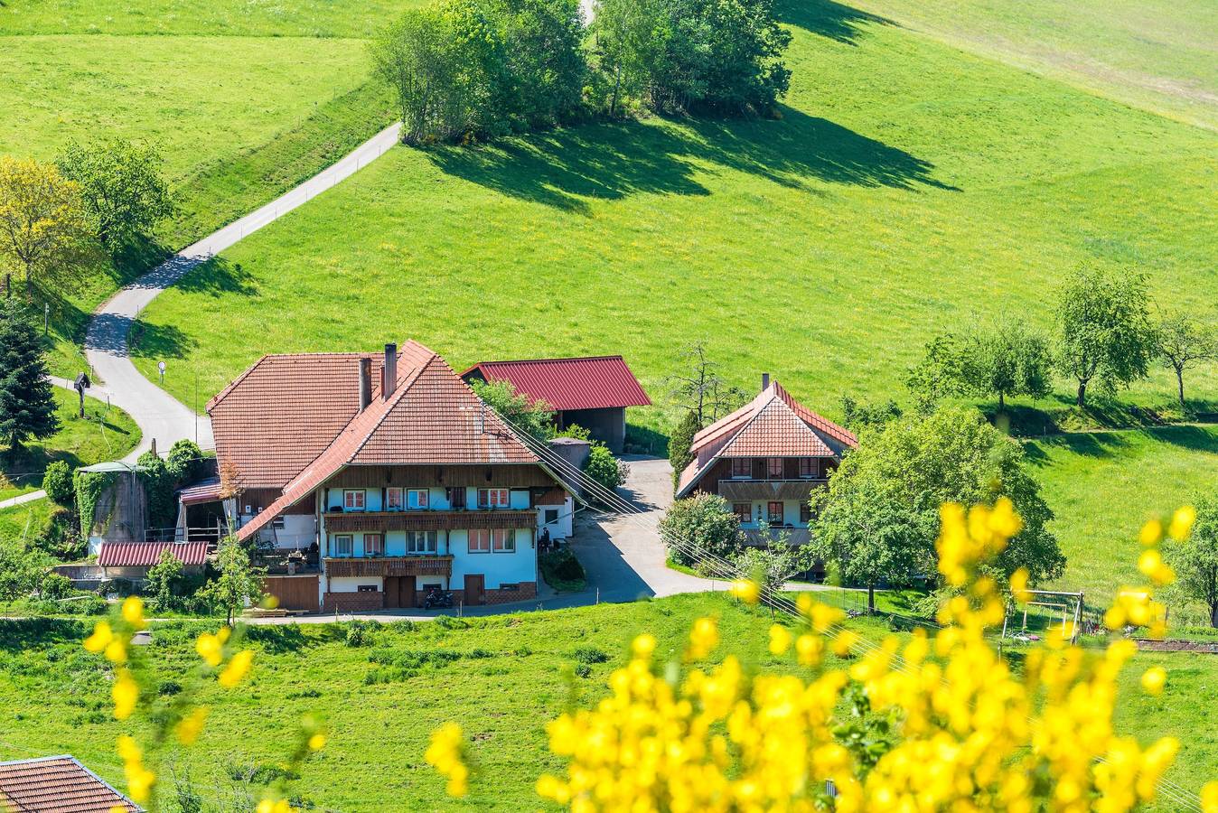 Ganze Wohnung, Ferienwohnung "Brandenkopfblick" mit Bergblick, Gemeinschaftsgarten und Wlan in Mühlenbach, Mittlerer Schwarzwald