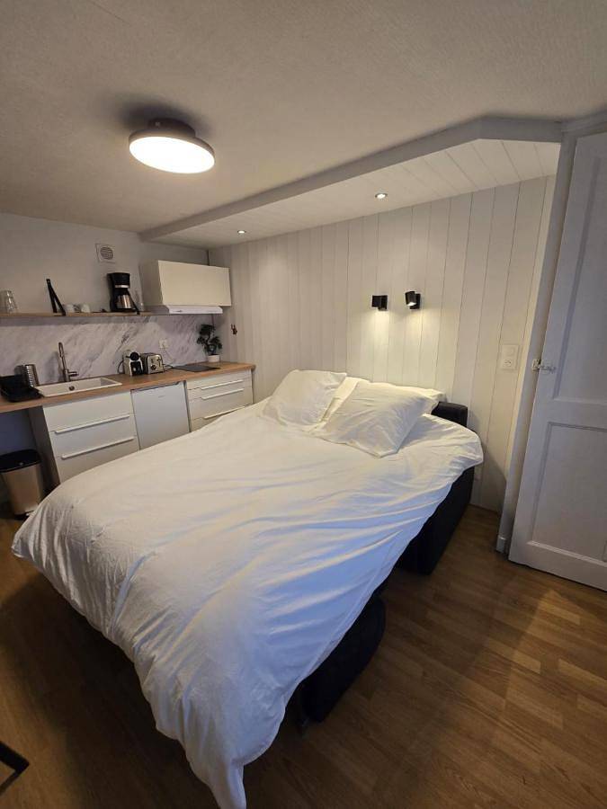 Appartement entier, Studio proche de la gare in Belleville-en-Beaujolais, Beaujolais