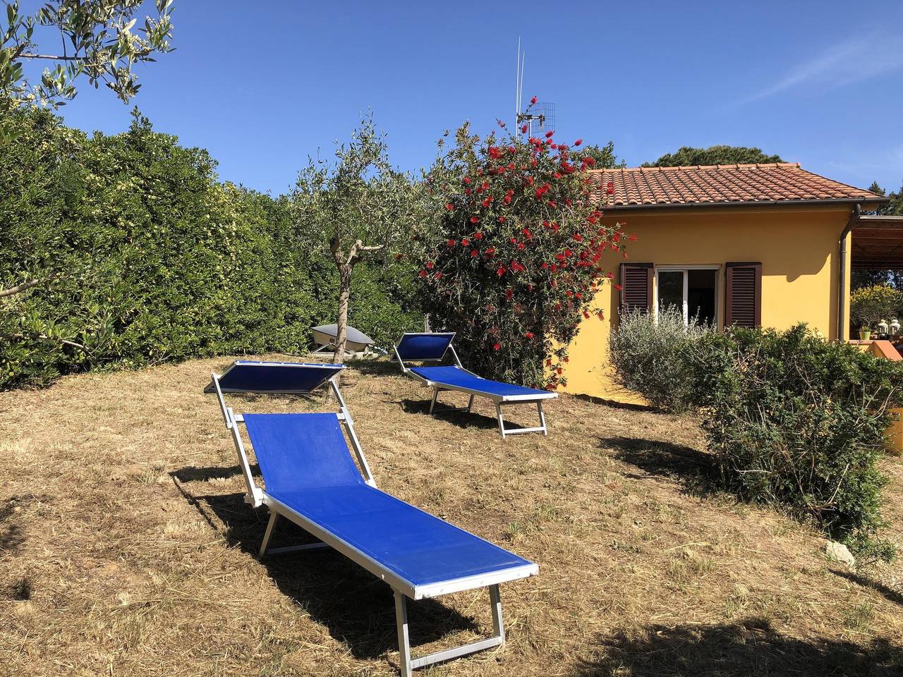 Casa Vacanze "Villetta Lampone" con Wi-Fi, aria condizionata, giardino e terrazza in Lacona, Isola d'Elba