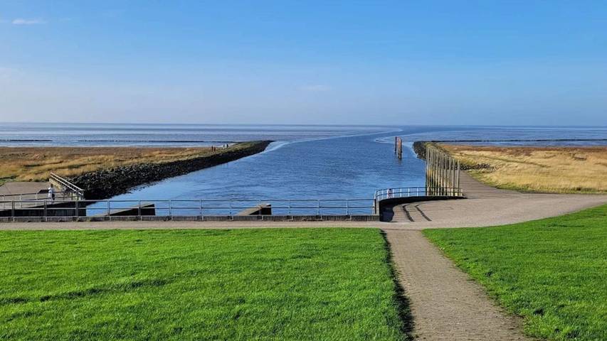 Ferienhaus für 5 Personen, mit Haustier in Højer - 4
