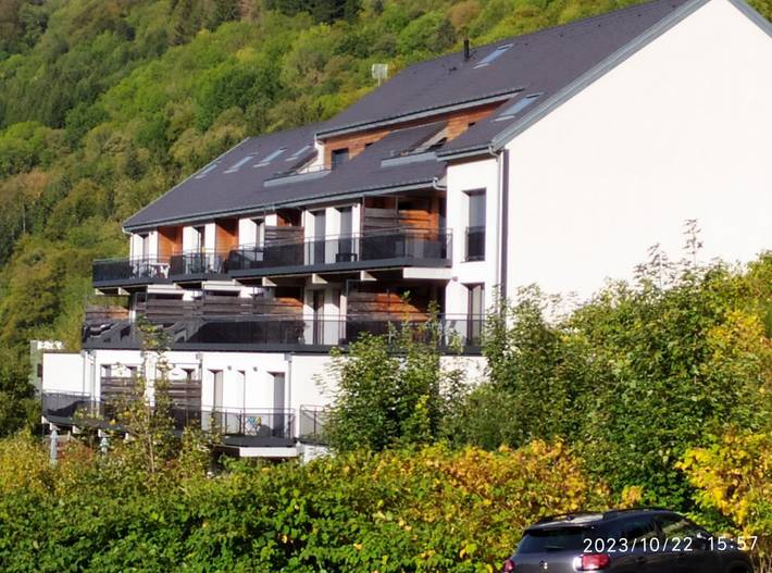 Gîte pour 4 personnes, avec terrasse à Mont-Dore - 3