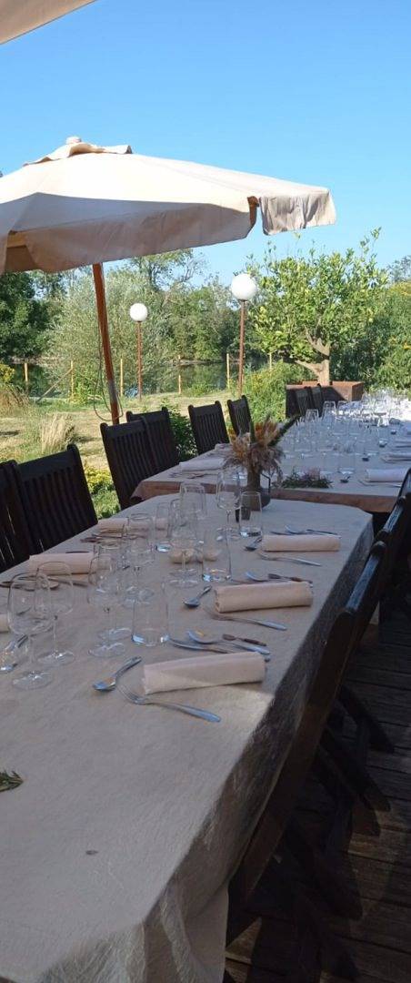 Chalet au bord de l'eau, table d'Hôtes. - Chambre et Table d'Hôtes in Sornay, Région de Louhans