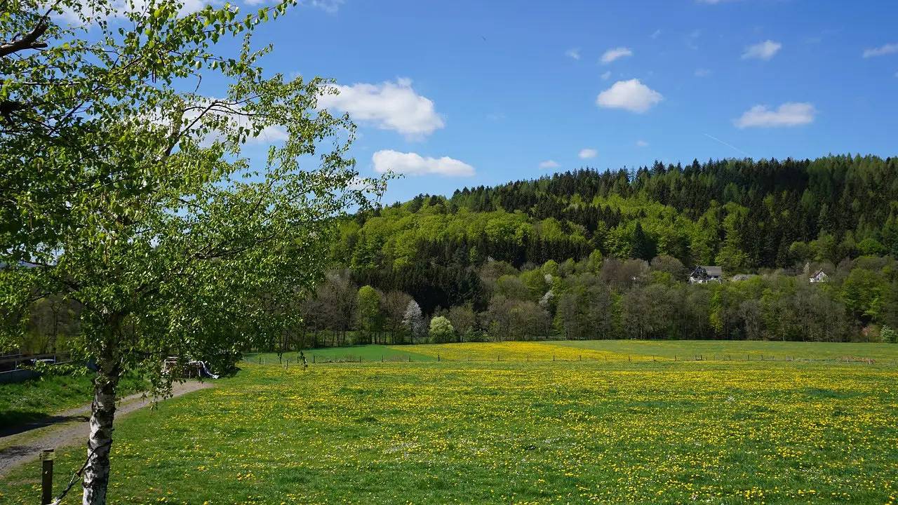 Ganze Ferienwohnung, Ferienwohnung für 6 Personen (108 m²) in Hilders in Hilders, Rhön-Hessen