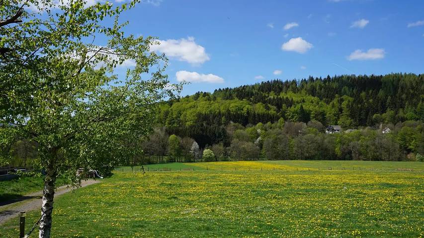 Bauernhof für 6 Personen, mit Garten an der Rhön - 3