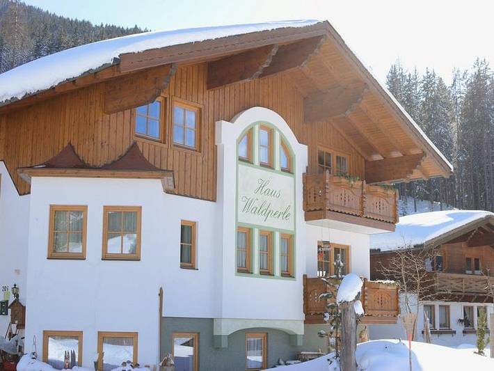 Ferienwohnung für 3 Personen, mit Garten, mit Haustier in Dachstein - 3