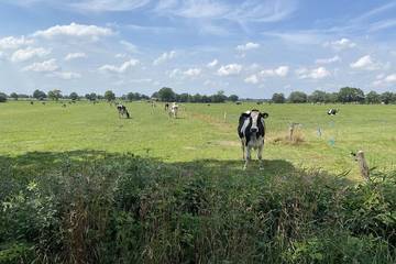 Ferienwohnung für 4 Personen, mit Terrasse in Dunum