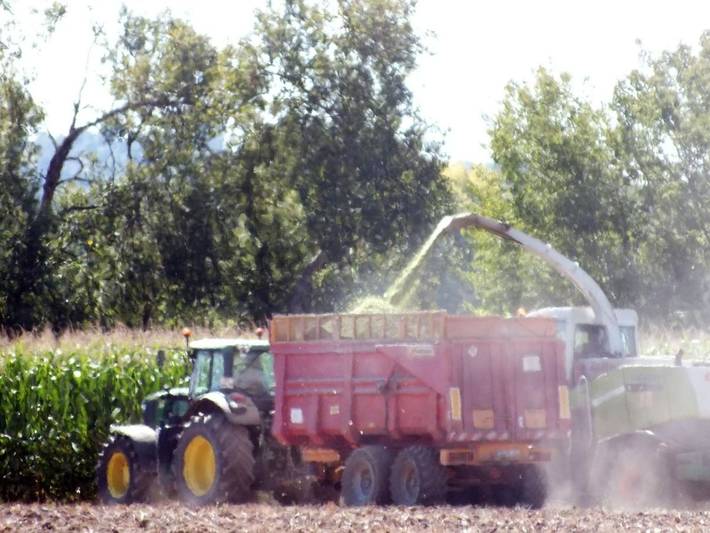 Location de vacances pour 2 personnes, avec jardin ainsi que vue et piscine à Saint-Pierre-d'Eyraud - 4