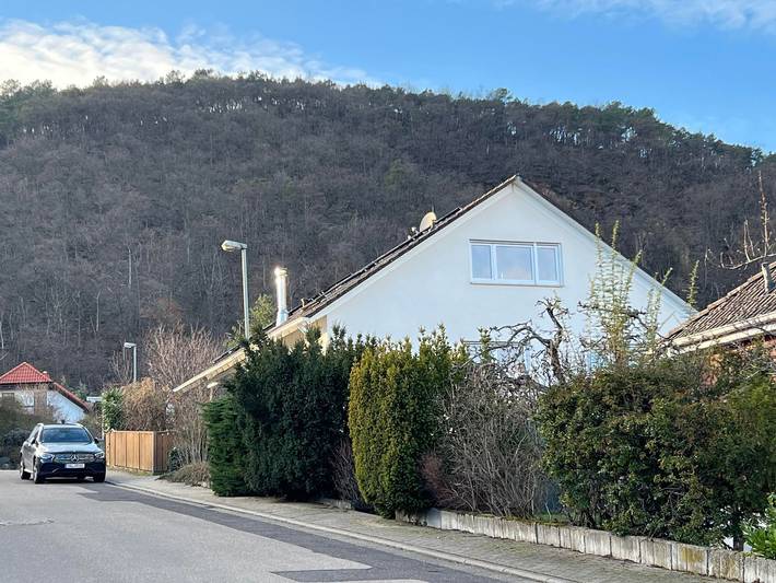 Ferienwohnung für 3 Personen, mit Garten, kinderfreundlich in Neustadt an der Weinstraße - 2