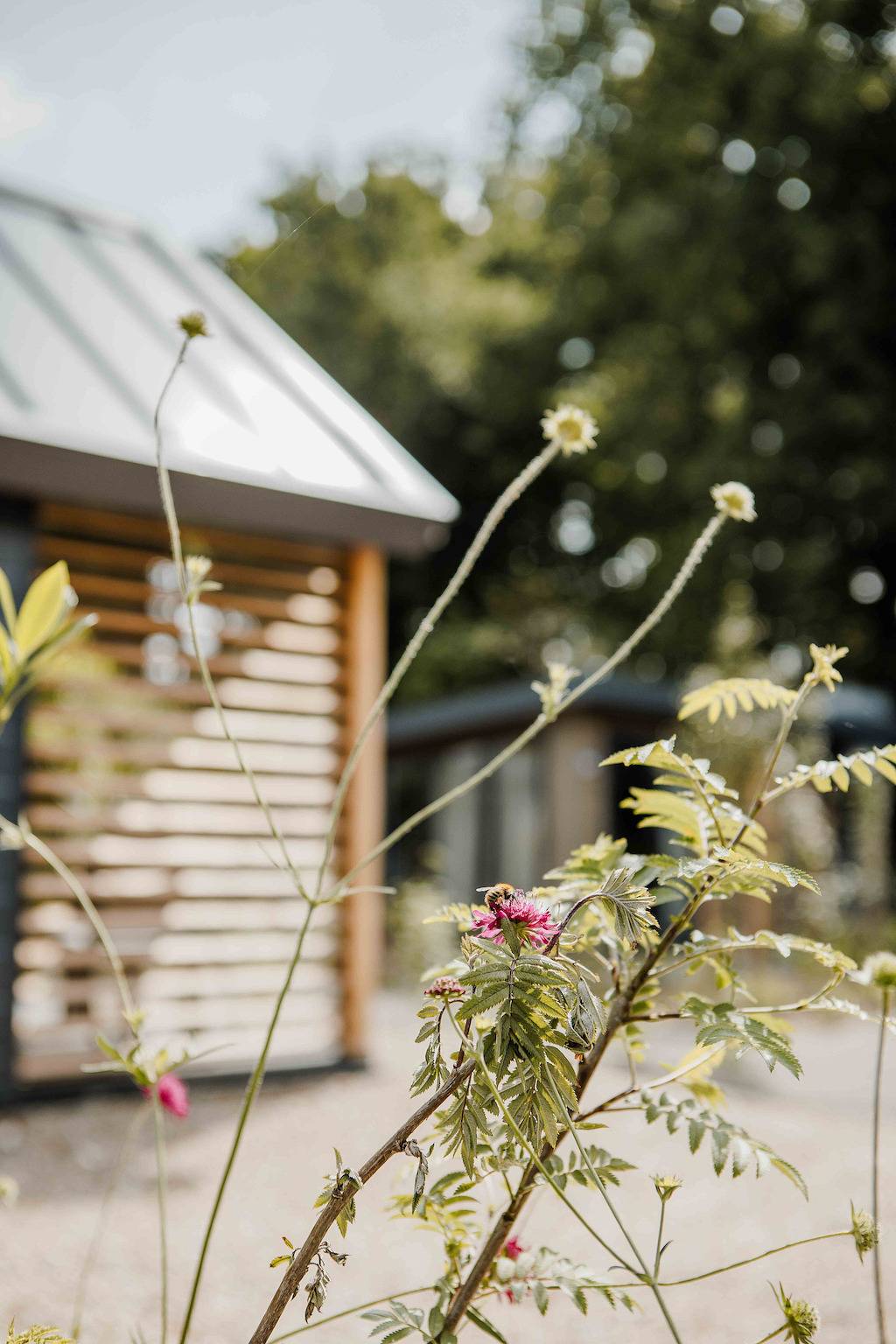 Veluwepark de Bosgraaf — Tiny Loft | 4 personen in Veluwe