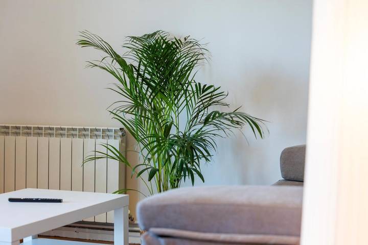 Gîte pour 6 personnes, avec vue et balcon dans Elizondo - 3