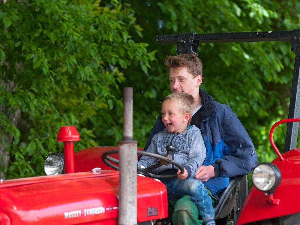 Nordseeferienhof Lafrenz - Robbenbank in Cuxhaven, Cuxland