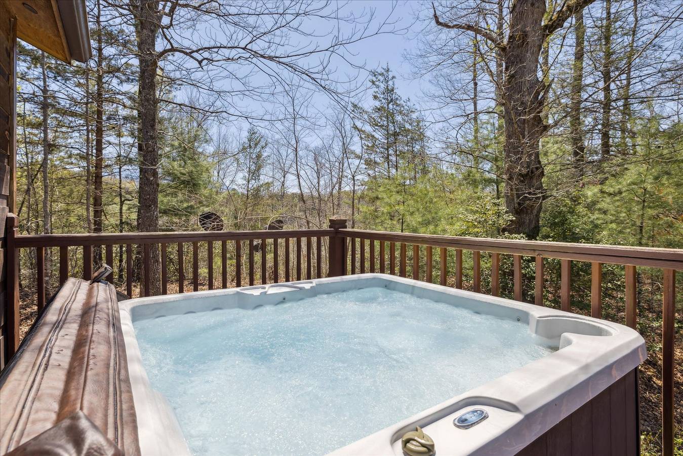 Entire apartment, Romantic Cabin w/Jacuzzi, Hot Tub & Fireplace in Sevier County