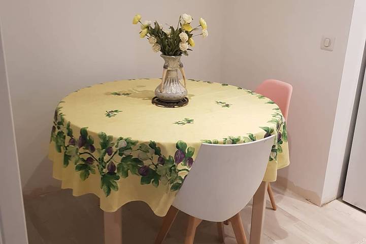 Apartamento entero, 5mn from Paris Porte de Bercy, and 30mn from Disney. Pets welcome! in Saint-Maurice, Valle del Marne