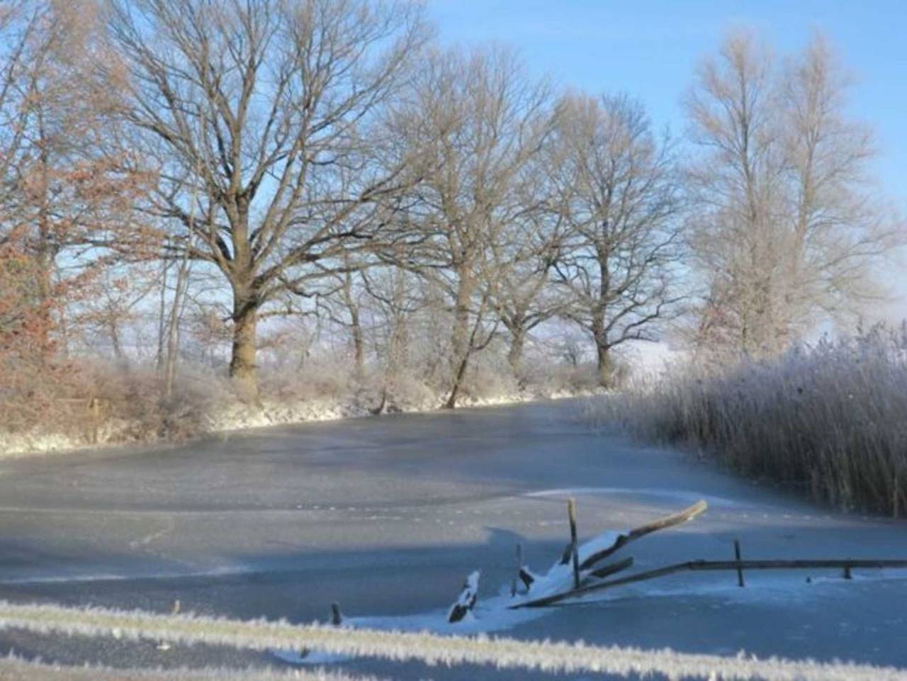 Landhof zur Meierei - Familienzimmer I in Tollensesee, Penzlin