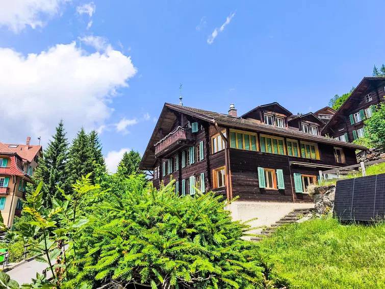 Geheel appartement, 3 kamers 5 personen in Wengen, Lauterbrunnen