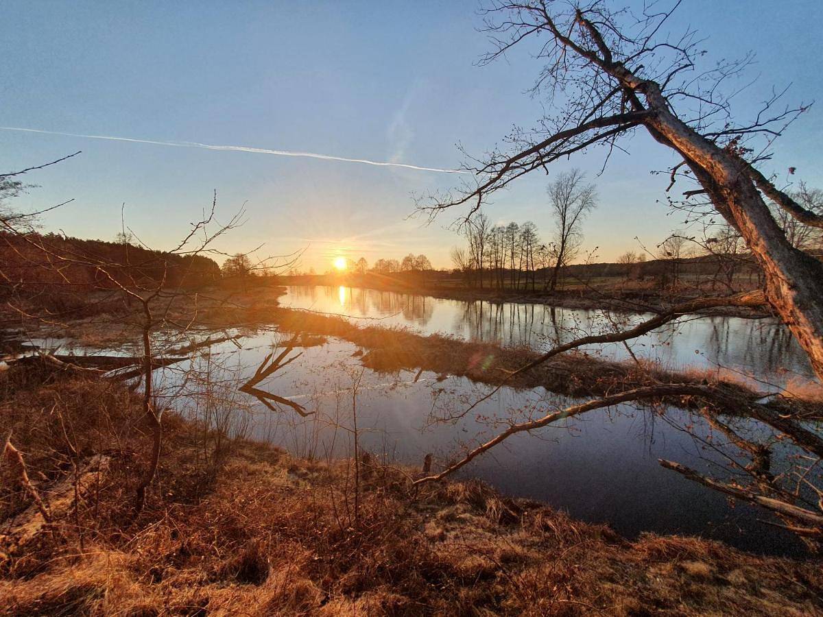 Cały apartament, Osada Osjaków in Województwo łódzkie