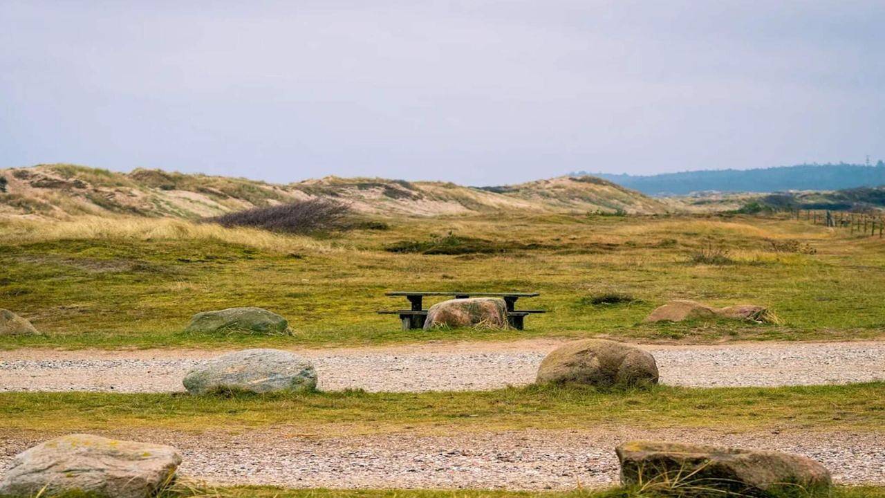 Ferienhaus für 4 Personen (74 m²) in Liseleje in Liseleje, Kattegat Küste
