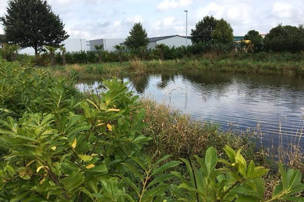 Ganze Wohnung, Penthouse Wohnung mit 20 m² Dachterasse in Stuhr bei Bremen in Stuhr, Naturpark Wildeshauser Geest